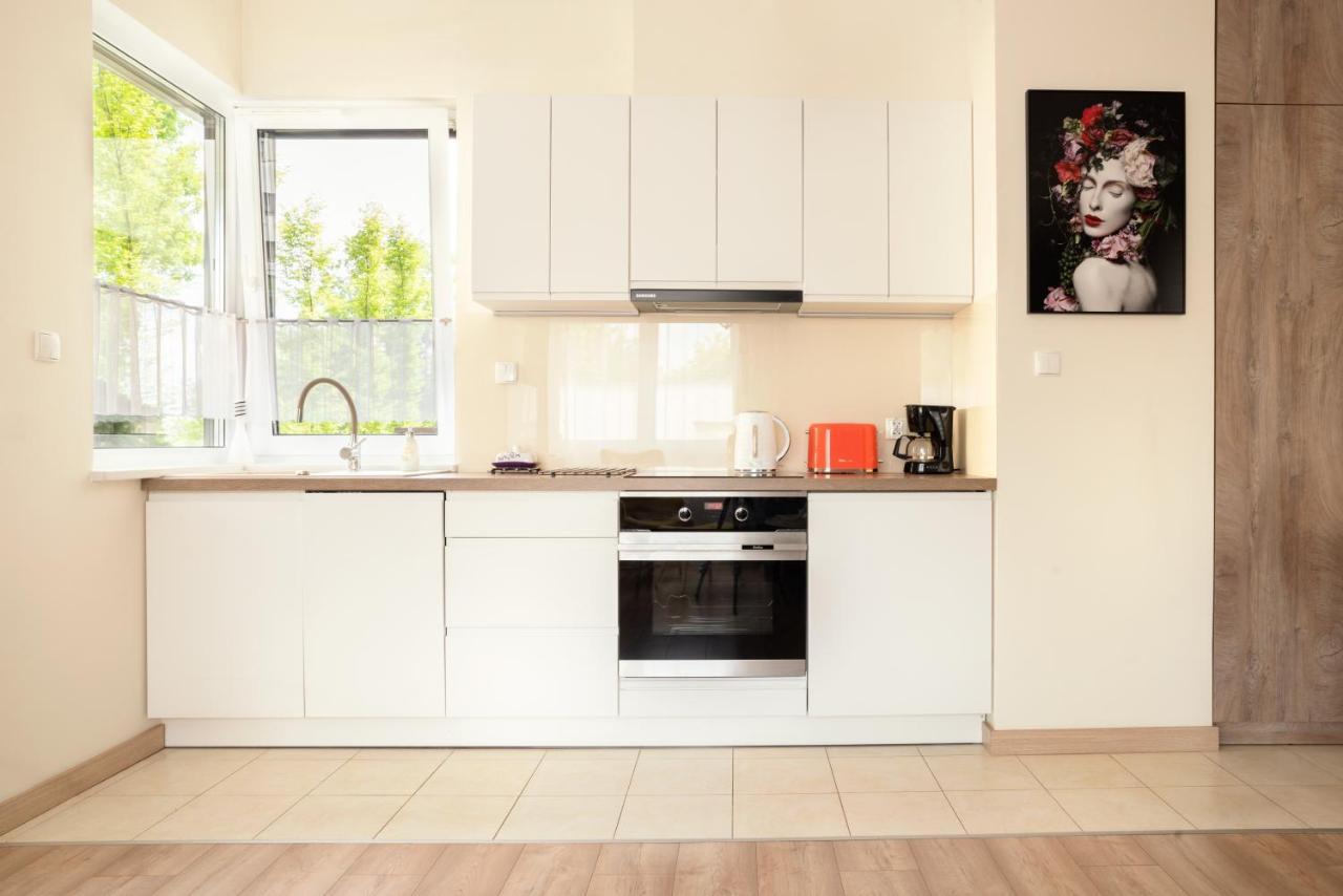 Apartament A1 Moderno Parking Stary Toruń Exteriér fotografie