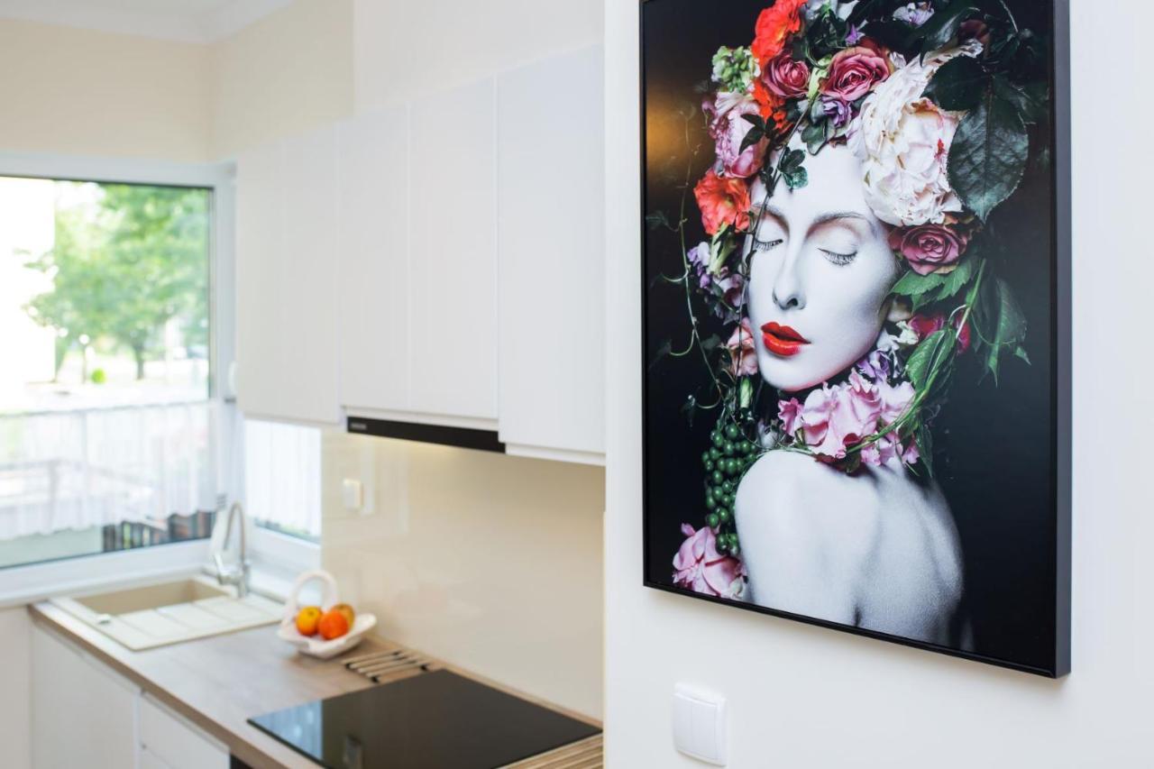 Apartament A1 Moderno Parking Stary Toruń Exteriér fotografie